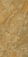 57569 Gold 20x40