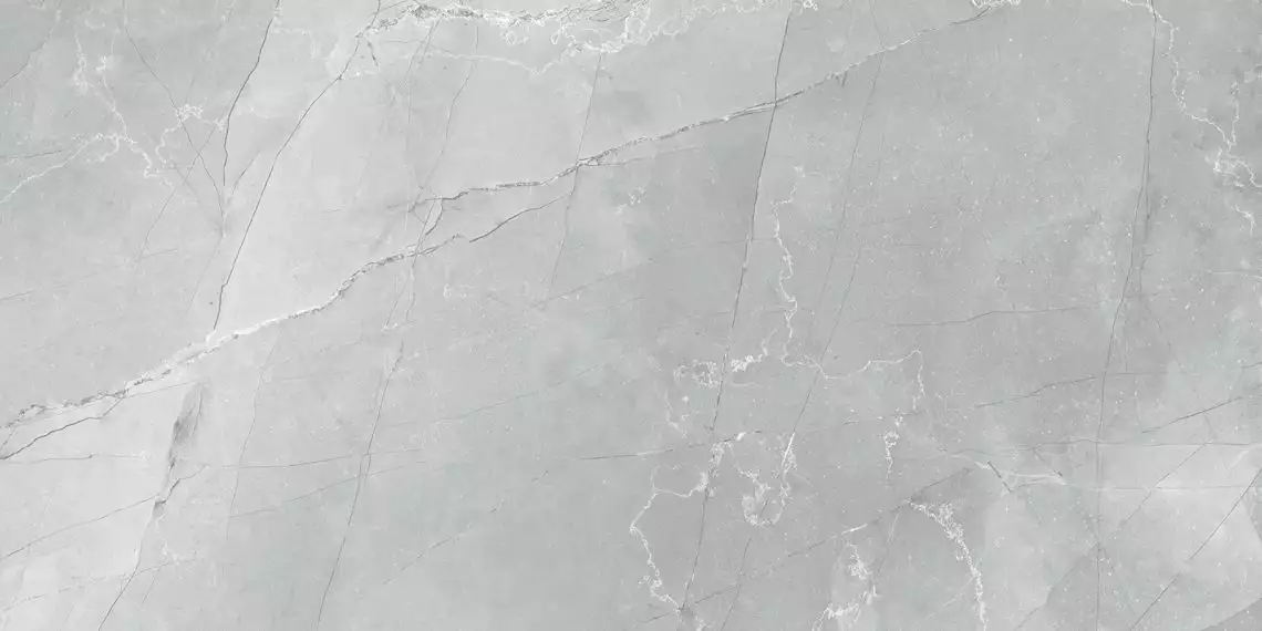 60120AMB15P Armani Marble Gray 60x120