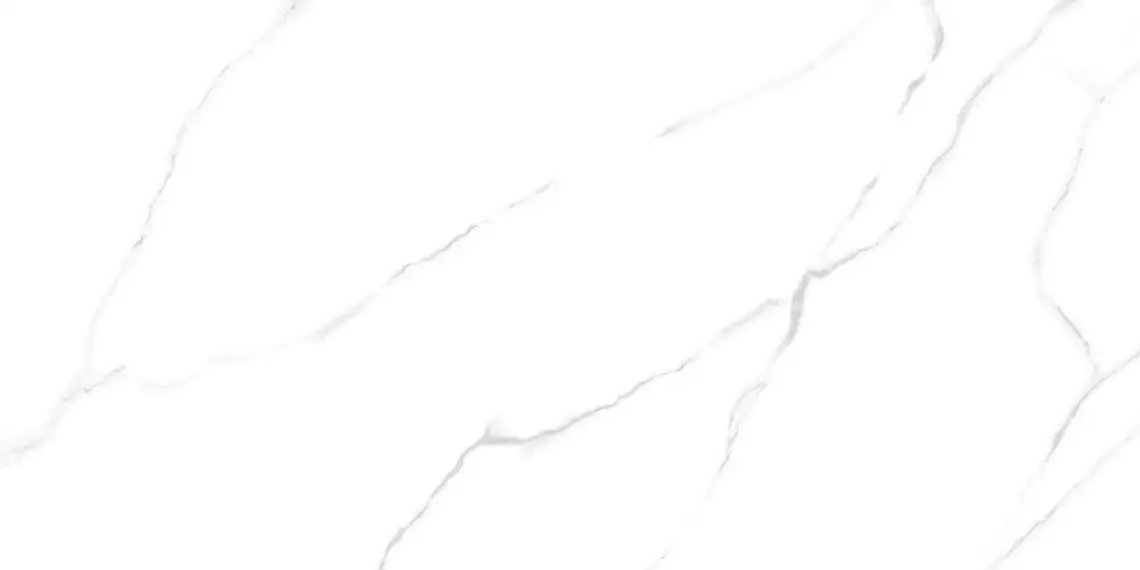 60120AMR00P Atlantic Marble 60x120