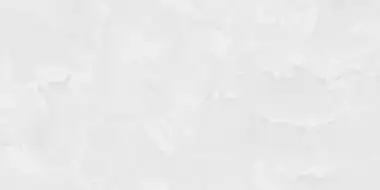 60120ICO00P Ice Onyx 60x120