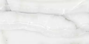 60120SWX00P Snow Onyx 60x120