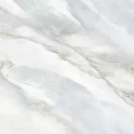 6060LMS01P Limestone 60x60