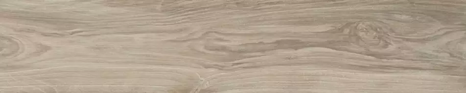 60951 SAVANNA CREAM RET 20x100