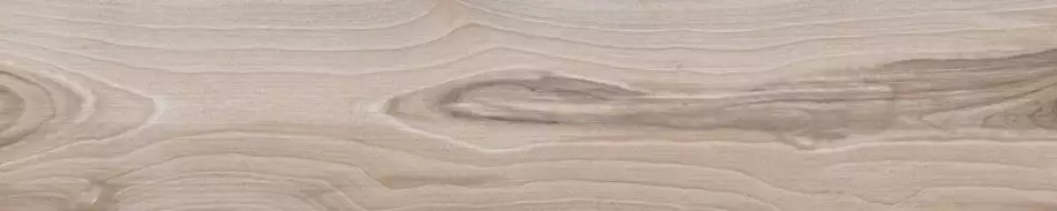 60952 SAVANNA DUST RET 20x100