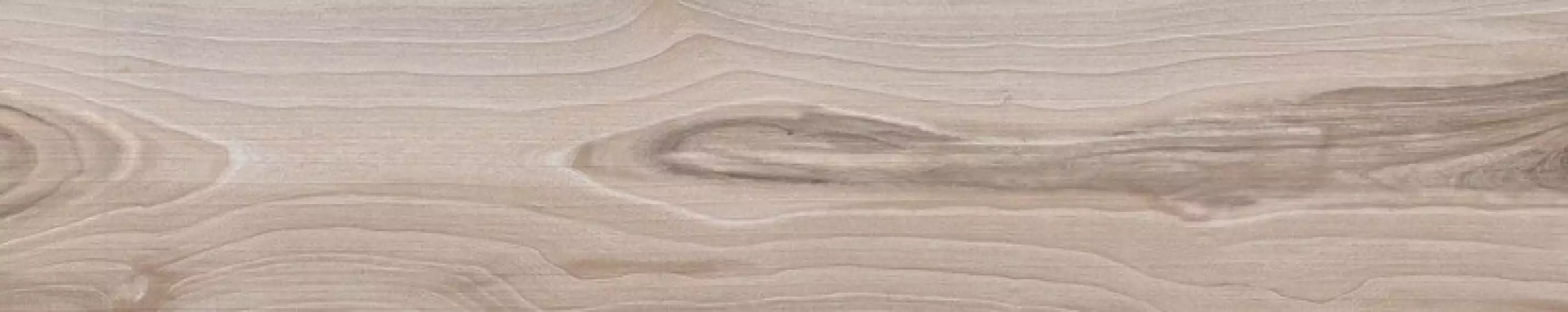 60952 SAVANNA DUST RET 20x100