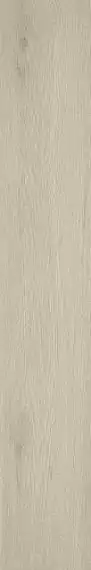 610010001418 Verity White 20x120