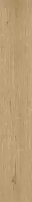 610010001419 Verity Natural 20x120