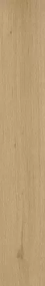 610010001419 Verity Natural 20x120