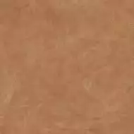 610010001863 Керамогранит Thesis Senape/Тезис Сенапе 60X60