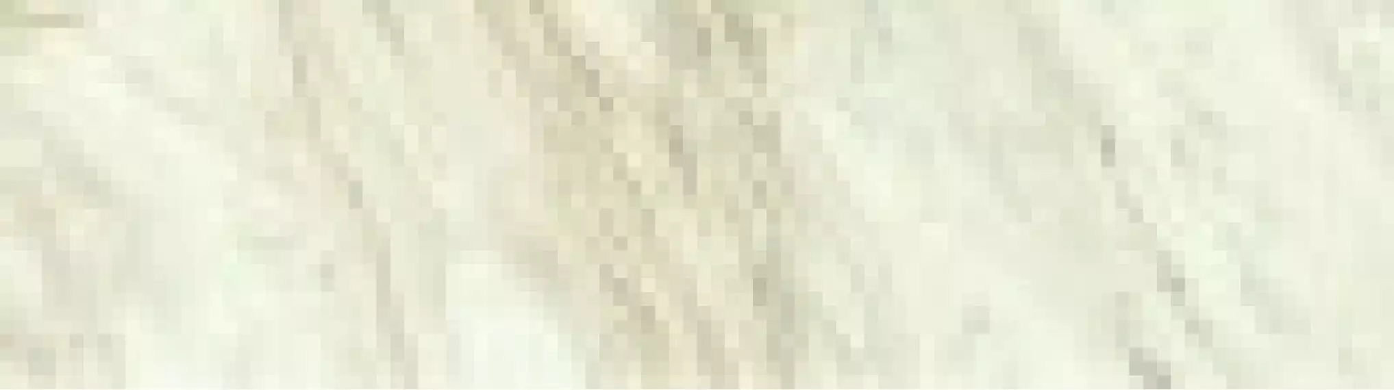 610010002137 Trevi White Brick Matt Ret 7x25