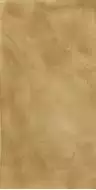 610010002669 Линате Голден 45x90