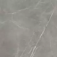 610010002724 Керамогранит Elegant Grey Lastra 20mm 60x60