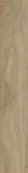 610010004068 Bormio Honey Ret 20x120