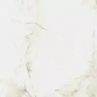 610010005761 Керамогранит Canova White Ret 60x60