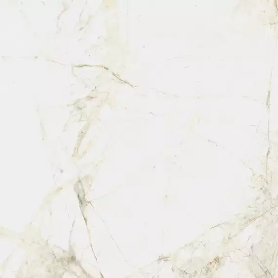 610010005761 Керамогранит Canova White Ret 60x60