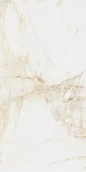 610010005765 Керамогранит Canova White Ret 60x120