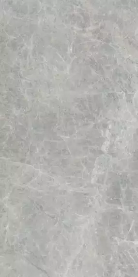 610010005767 Керамогранит Canova Grey Ret 60x120