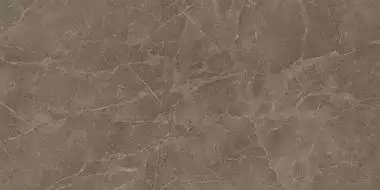 610015000311 Supernova Stone Grey Wax Rett 60x120