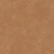 610015000565 Thesis Senape Lap 60x60