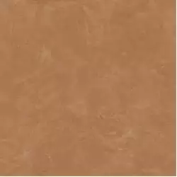 610015000565 Thesis Senape Lap 60x60