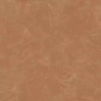 610015000565 Thesis Senape Lap 60x60