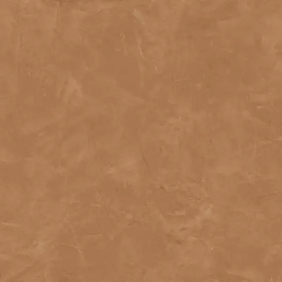 610015000565 Thesis Senape Lap 60x60