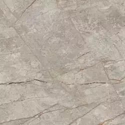 610015000625 Empire Silver Root Lapp 60x60 