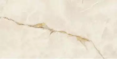 610015000641 Symphonyx Gold Rett Lapp 60x120