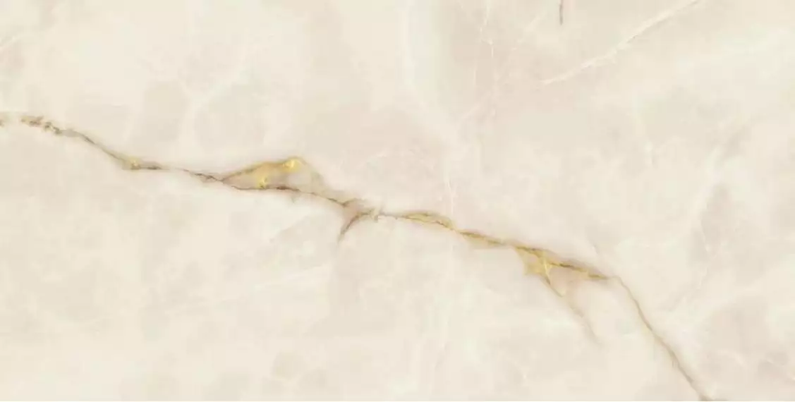 610015000641 Symphonyx Gold Rett Lapp 60x120