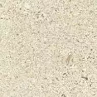 610090001653 Wise Ice Mist Bottone 7.2x7.2