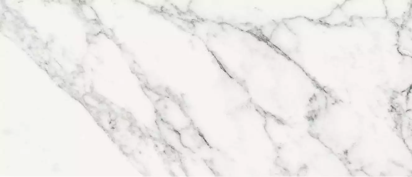 6642 WHITE PULIDO RECTIFICADO 63x146