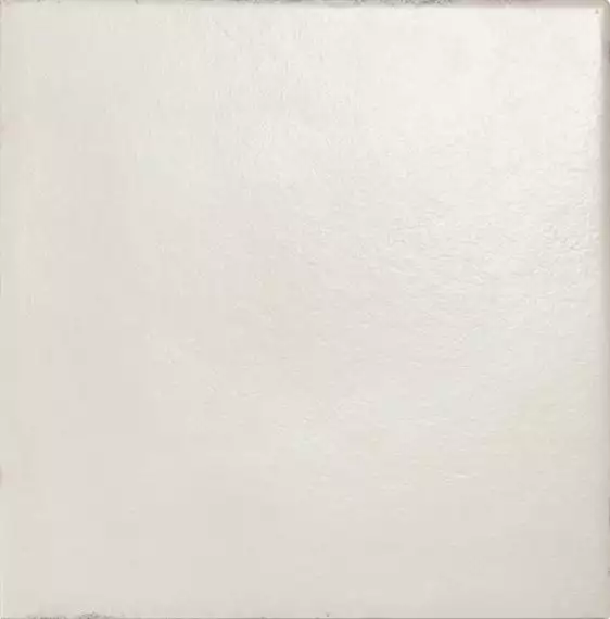 6RMM Bianco Antico 20*20