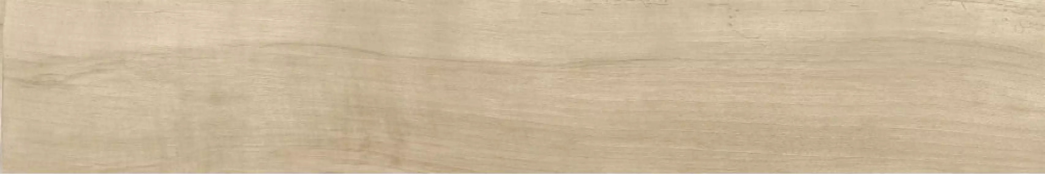 73000 Antique Oak Fondi Nat.Rettificat 20x120