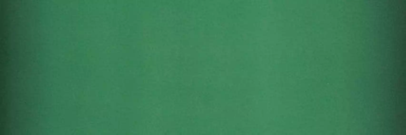 754895 SLIDE EMERALD 10X30