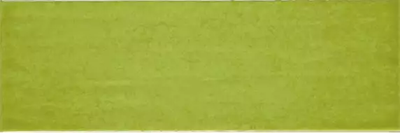 754984 Плитка MAIOLICA MELA 10X30