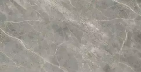 761738 Керамогранит ETOILE GRIS GLO RET 120X240