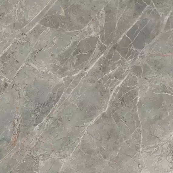 761750 ETOILE GRIS GLO RET 120X120