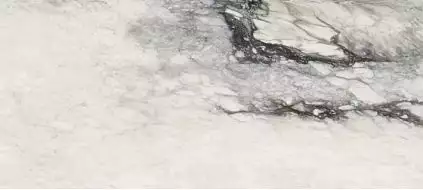 761773 ETOILE RENOIR GLO RET 60X120 