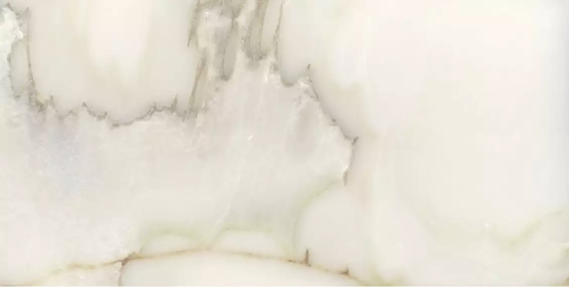 766325 Les Bijoux Onyx blanche Matte 60x120