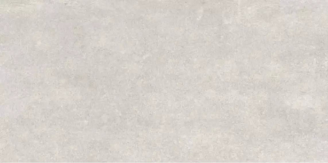 7681 MODENA LIGHT GRAY MATT 60x120