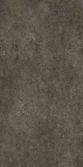 768327 Керамогранит Sensi Brown Fossil Ret 60x120