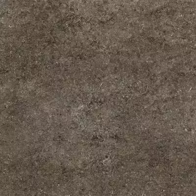 768379 Керамогранит Sensi Brown Fossil Ret 80x80