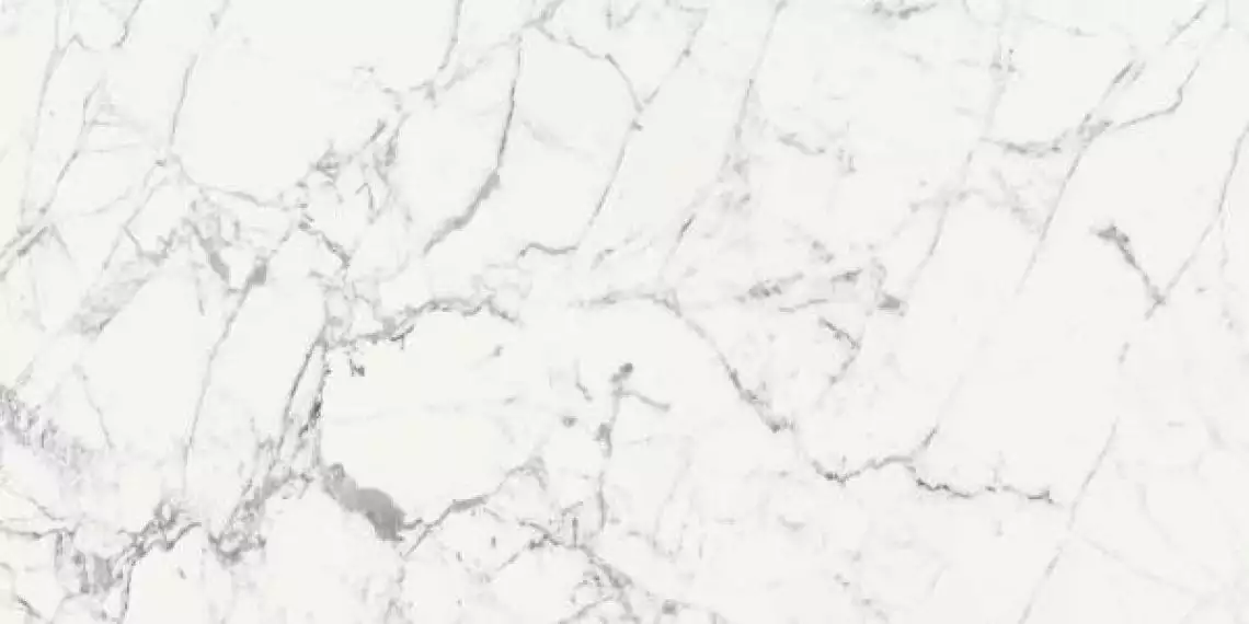 769860 LES ORIGINES DE REX BLANC GLOSSY 60x120