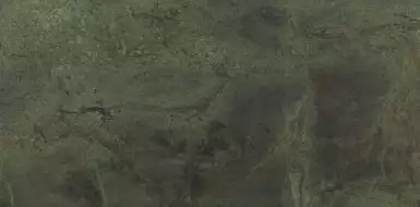 7738 FOREST GREEN 60x120