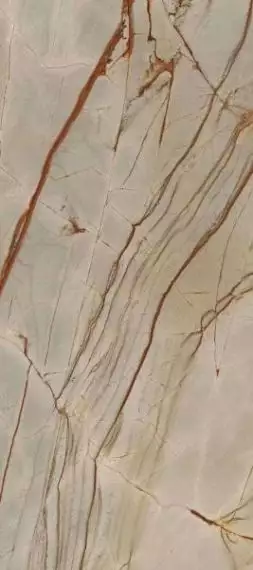 774673 Nature Mood Rainforest Glossy 80x180