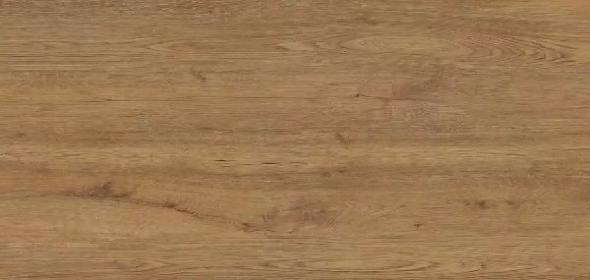 78JG-27 Jungla Iroko 120x260