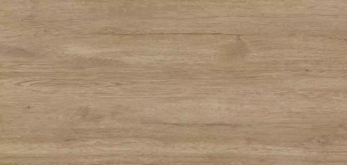 78JG-77 Jungla Roble 120x260