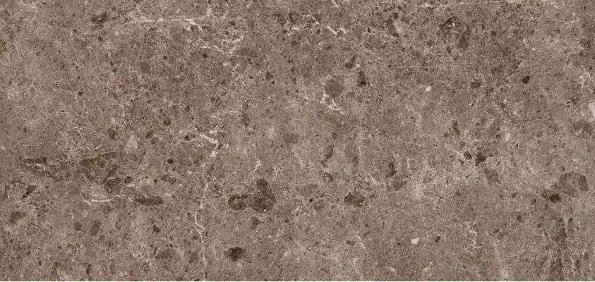 78RC27P Керамогранит Coverlam Artic Moka Pulido 120x260