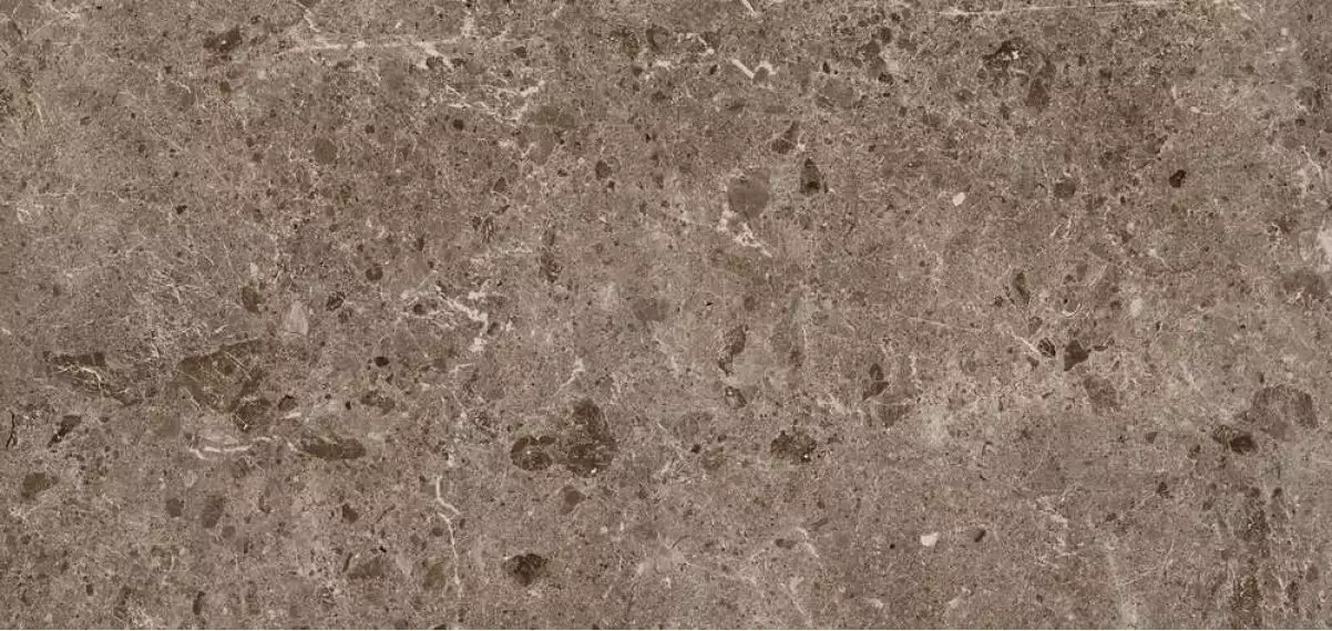 78RC27P Керамогранит Coverlam Artic Moka Pulido 120x260