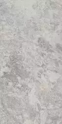 795 Image Silver 60х120